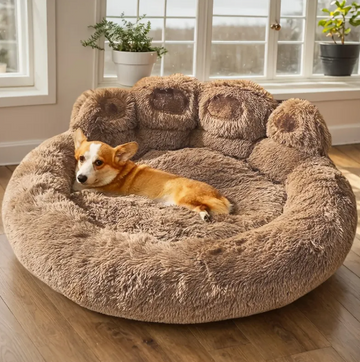 Soft Sofa – A cocoon of softness and comfort