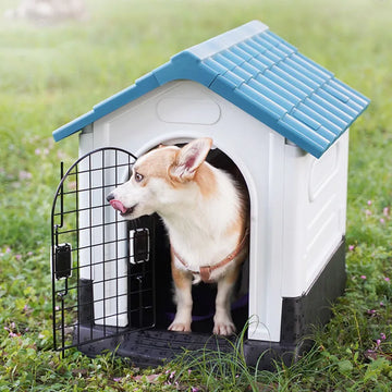 House For Dogs