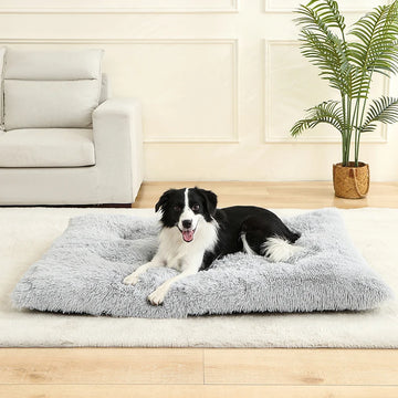 Cat Bed Animals Sleeping Sofa