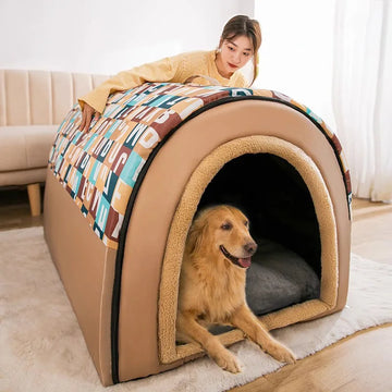 Dog Kennel Winter