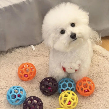 Dog Toy Ball