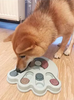 Interactive Large Dog Bowl – Feed the Mind, Stimulate the Appetite