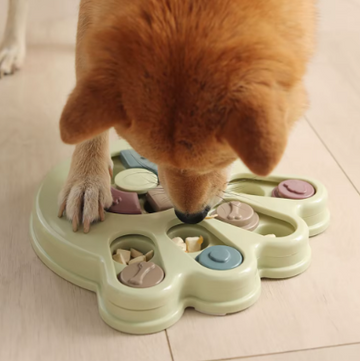 Interactive Large Dog Bowl – Feed the Mind, Stimulate the Appetite