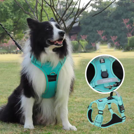 No-Pull Harness – Control, comfort and safety while walking