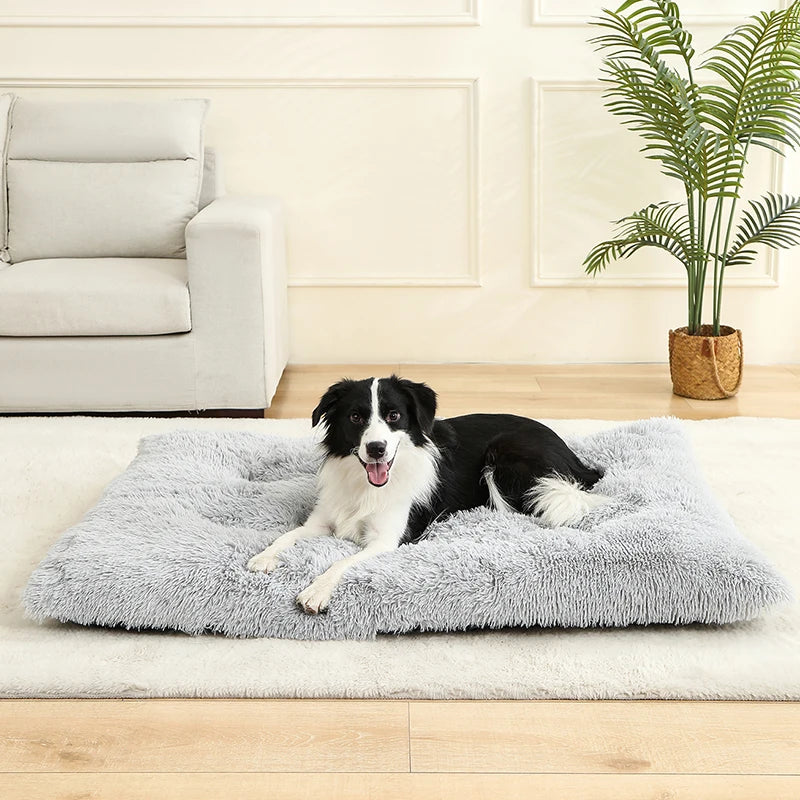 Cat Bed Animals Sleeping Sofa