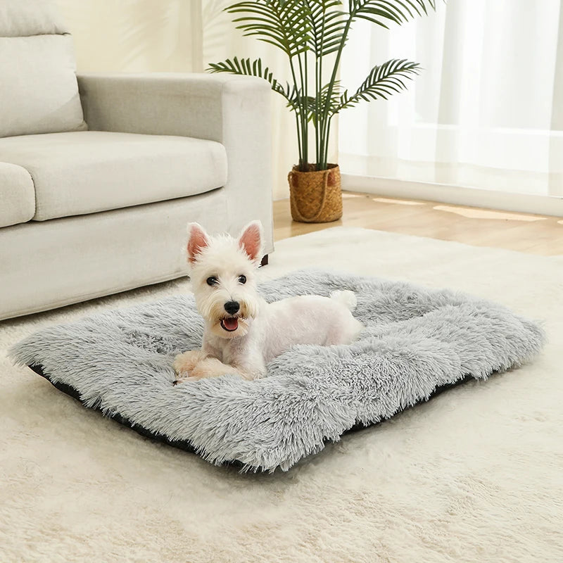 Cat Bed Animals Sleeping Sofa