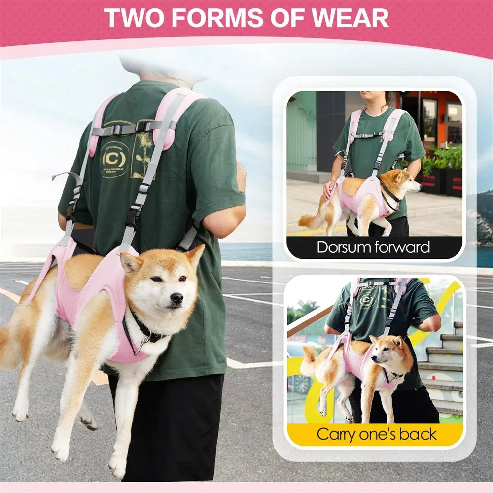 Dog Carriers Things