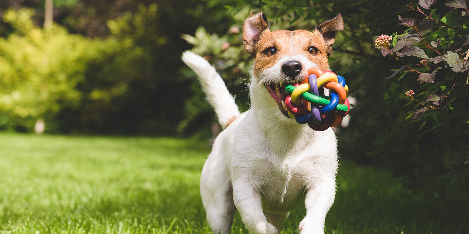 slider image slider_item_DFhdr3
